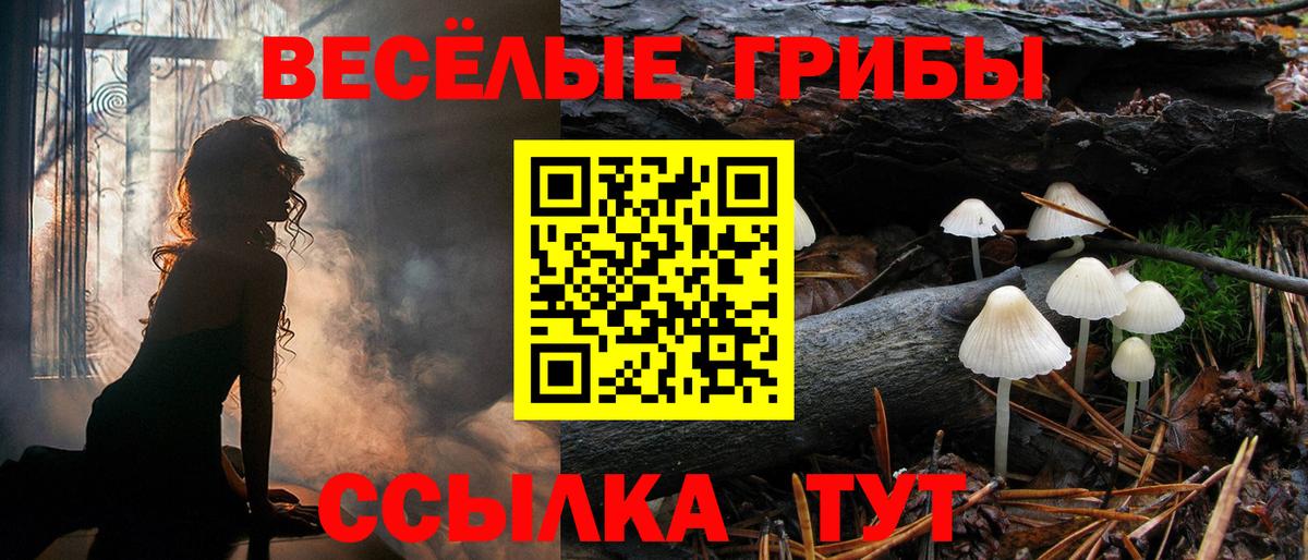 Похвистнево  Галлюциногенные грибы Magic Shrooms  Вход с VPN  Псилоцибиновые грибы Psilocybine cubensis 