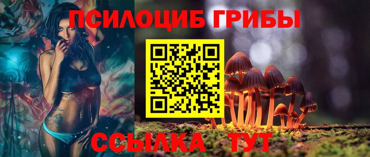 Галлюциногенные грибы прущие грибы Похвистнево